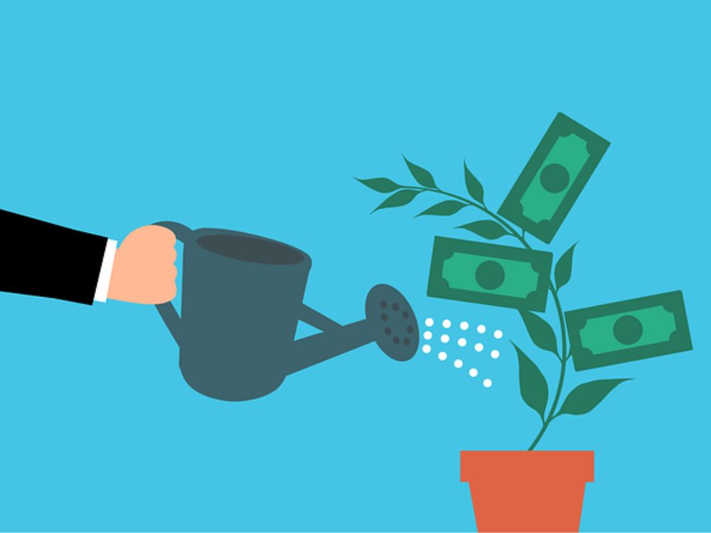 Plantando no presente para colher no futuro por meio de ativos no mercado de investimentos, é como regar uma árvore de dinheiro.